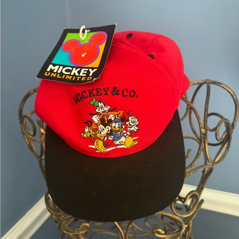 NWT Mickey & Co baseball hat